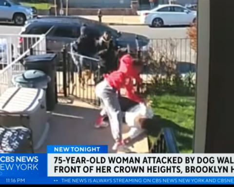 dog walker attack
